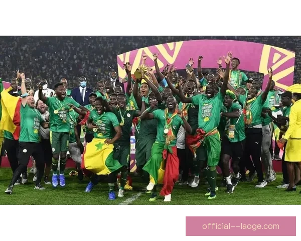 2025年非洲杯正式落户摩洛哥 助力非洲足球发展新篇章